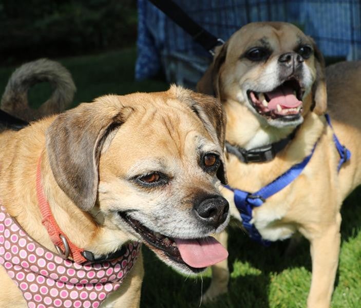 Ghent Chevrolet in Greeley CO