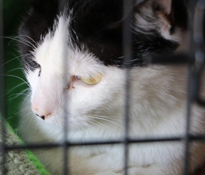 Ghent Chevrolet in Greeley CO